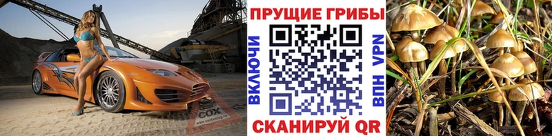 Галлюциногенные грибы прущие грибы  наркота  Георгиевск 